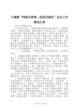 于城镇“网格化管理、组团式服务”试点工作情况汇报