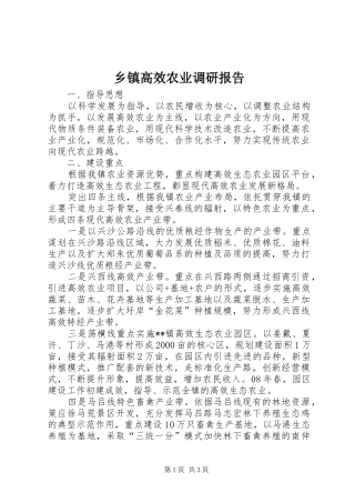 乡镇高效农业调研报告
