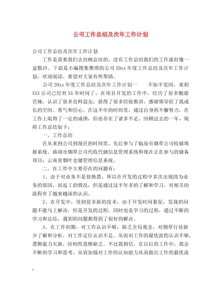公司工作总结及次年工作计划 