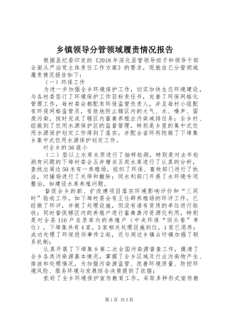 乡镇领导分管领域履责情况报告