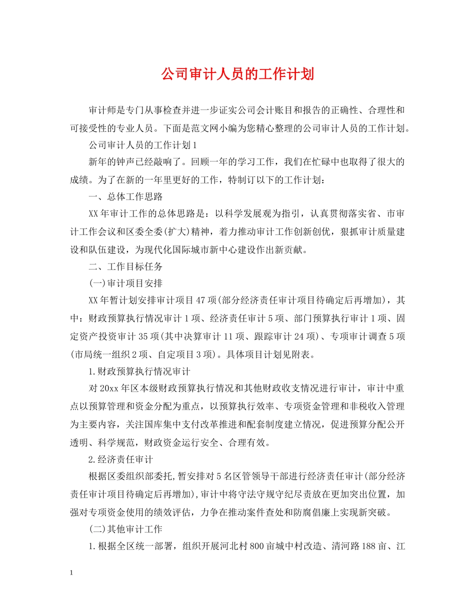 公司审计人员的工作计划 _第1页