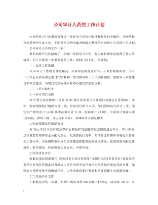 公司审计人员的工作计划 