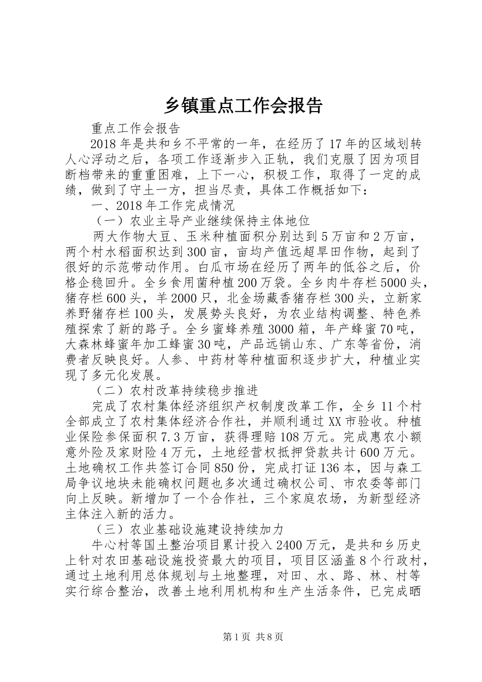 乡镇重点工作会报告_第1页