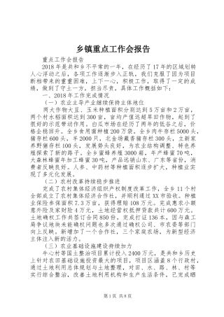 乡镇重点工作会报告