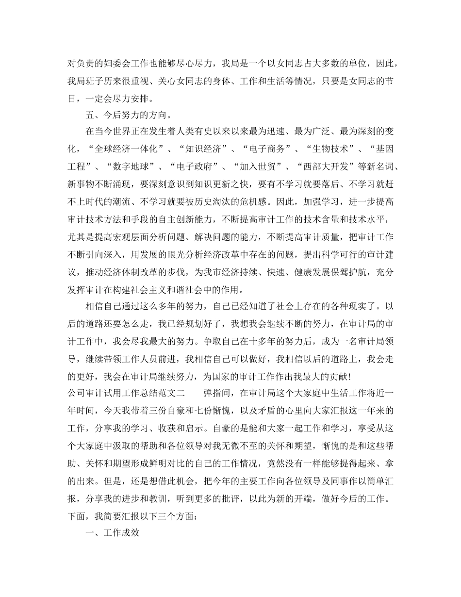 公司审计试用工作总结 _第3页