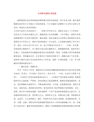 公司审计试用工作总结 