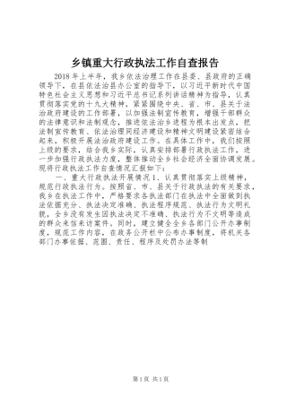 乡镇重大行政执法工作自查报告