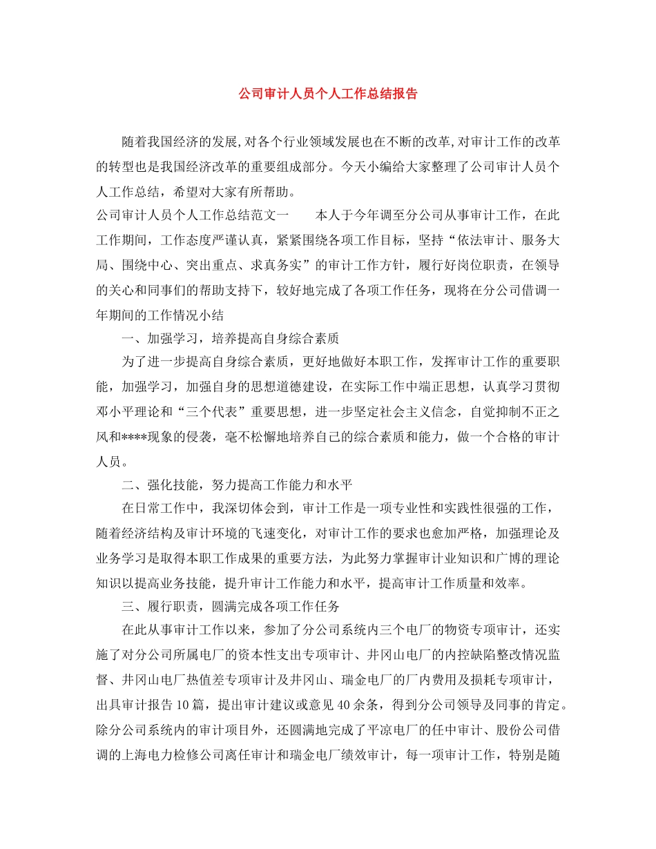 公司审计人员个人工作总结报告 _第1页