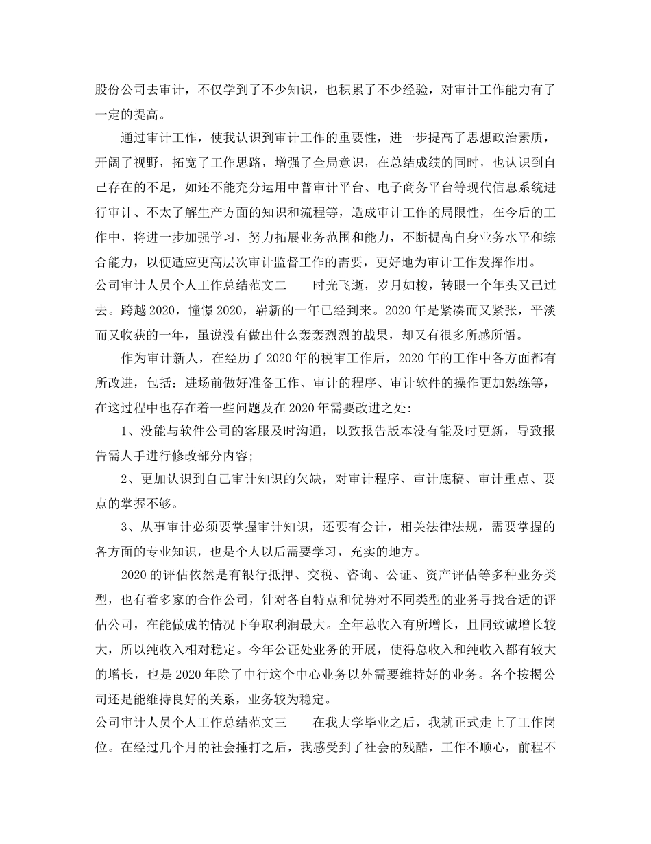 公司审计人员个人工作总结报告 _第2页