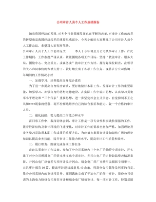 公司审计人员个人工作总结报告 