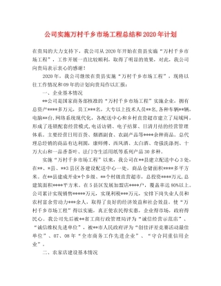 公司实施万村千乡市场工程总结和2020年计划 