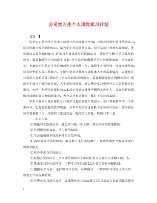 公司实习生个人顶岗实习计划 