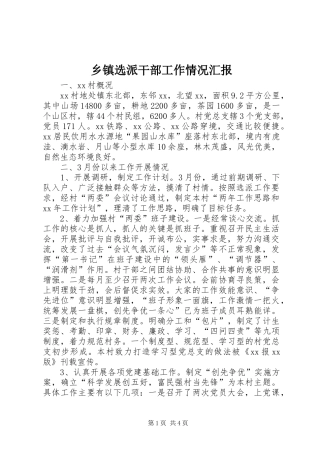 乡镇选派干部工作情况汇报