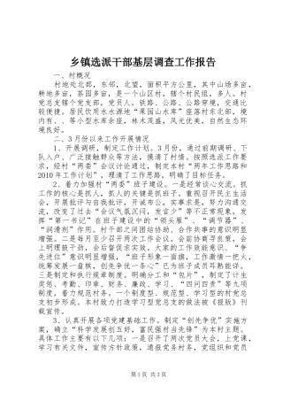 乡镇选派干部基层调查工作报告