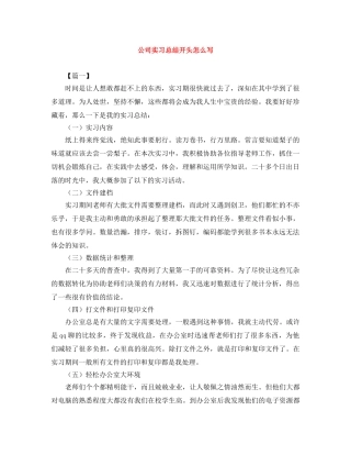 公司实习总结开头怎么写 