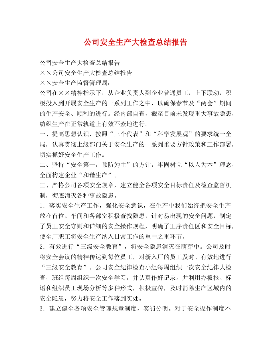 公司安全生产大检查总结报告 _第1页