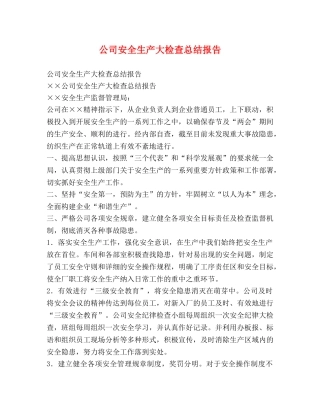 公司安全生产大检查总结报告 