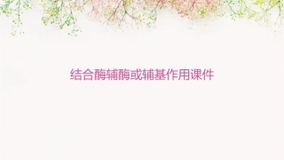 结合酶辅酶或辅基作用课件