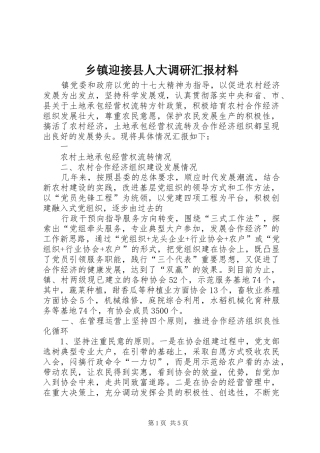 乡镇迎接县人大调研汇报材料