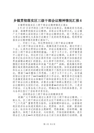 乡镇贯彻落实区三级干部会议精神情况汇报6