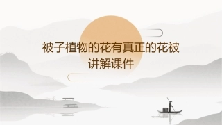 被子植物的花有真正的花被讲解课件