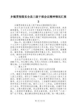 乡镇贯彻落实全县三级干部会议精神情况汇报3