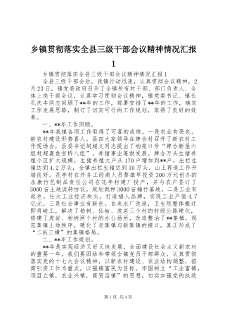 乡镇贯彻落实全县三级干部会议精神情况汇报1