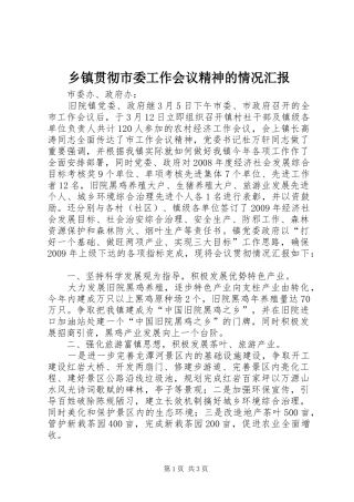 乡镇贯彻市委工作会议精神的情况汇报