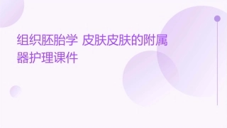 组织胚胎学 皮肤皮肤的附属器护理课件
