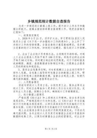 乡镇规范统计数据自查报告