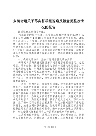 乡镇街道关于落实督导组巡察反馈意见整改情况的报告