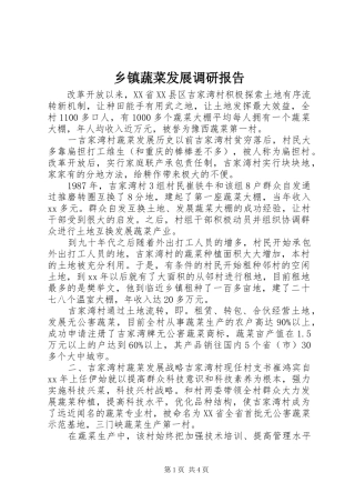 乡镇蔬菜发展调研报告