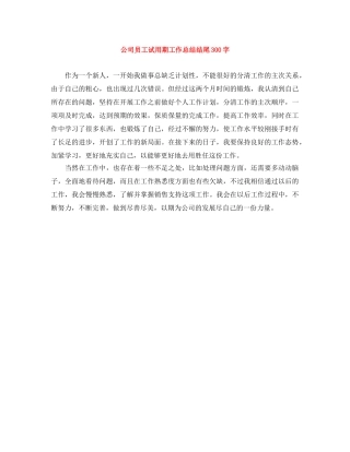 公司员工试用期工作总结结尾300字 