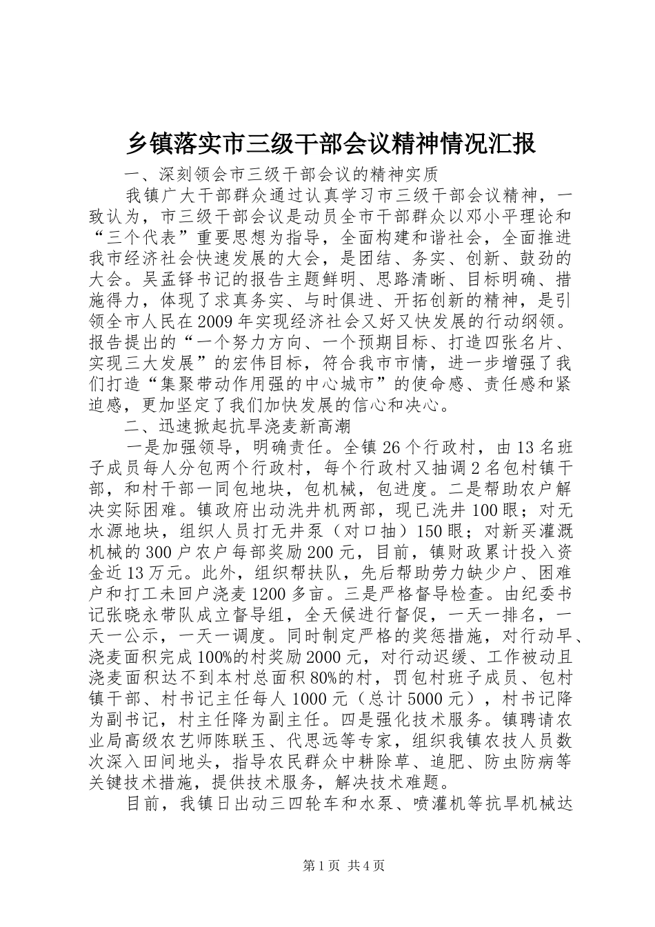 乡镇落实市三级干部会议精神情况汇报_第1页