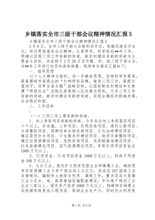 乡镇落实全市三级干部会议精神情况汇报5