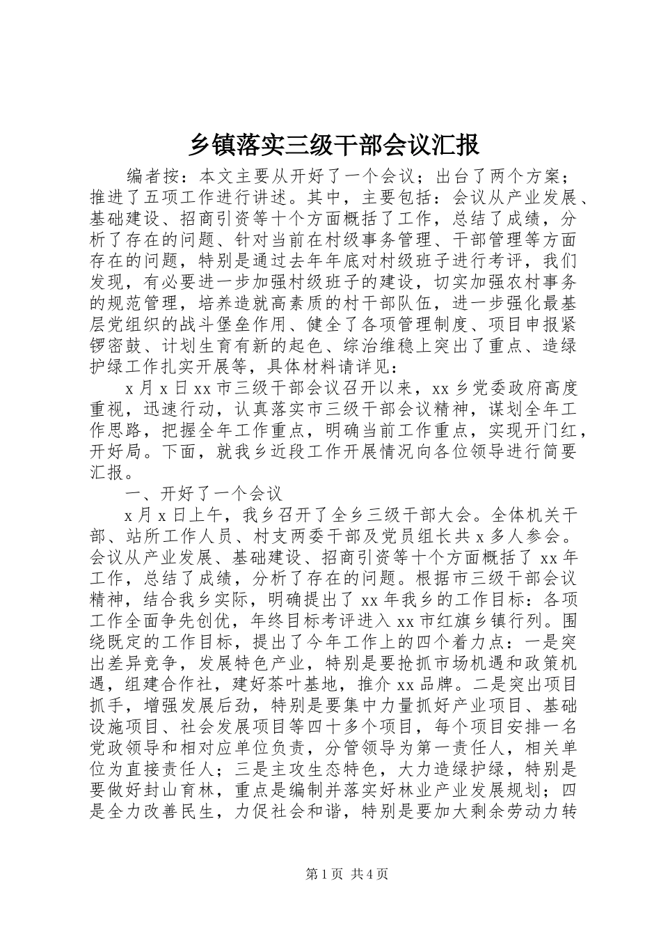 乡镇落实三级干部会议汇报_第1页