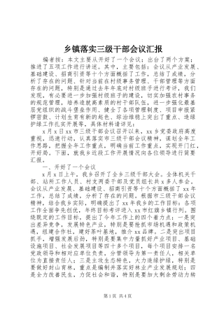 乡镇落实三级干部会议汇报