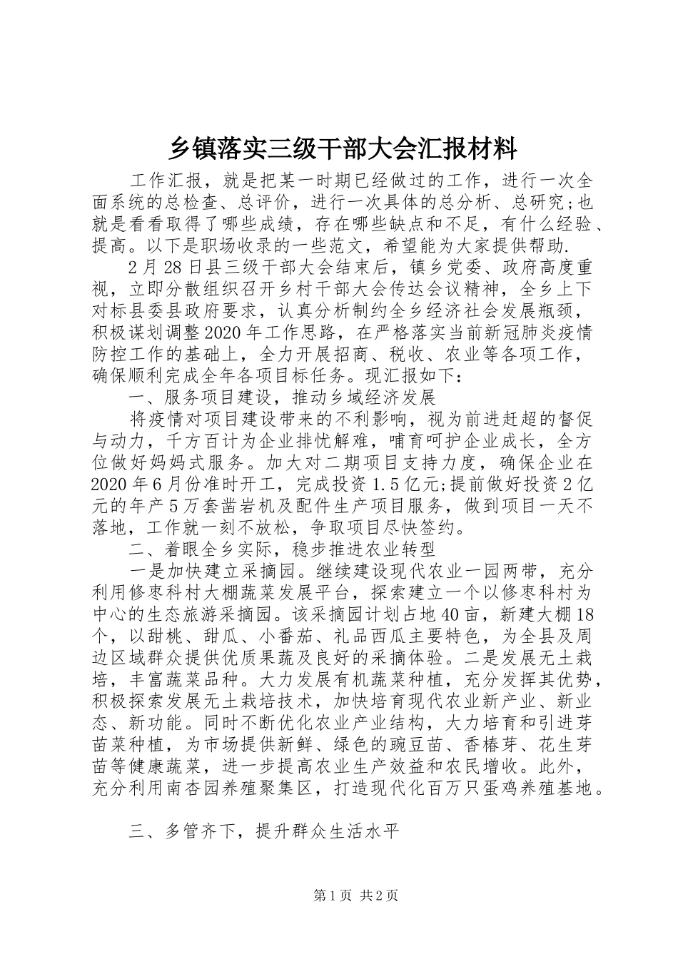 乡镇落实三级干部大会汇报材料_第1页