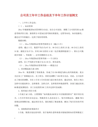 公司员工年中工作总结及下半年工作计划例文 
