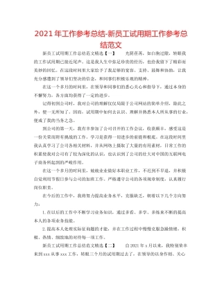 2021年工作参考总结新员工试用期工作参考总结范文