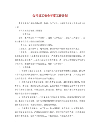 公司员工安全年度工作计划 