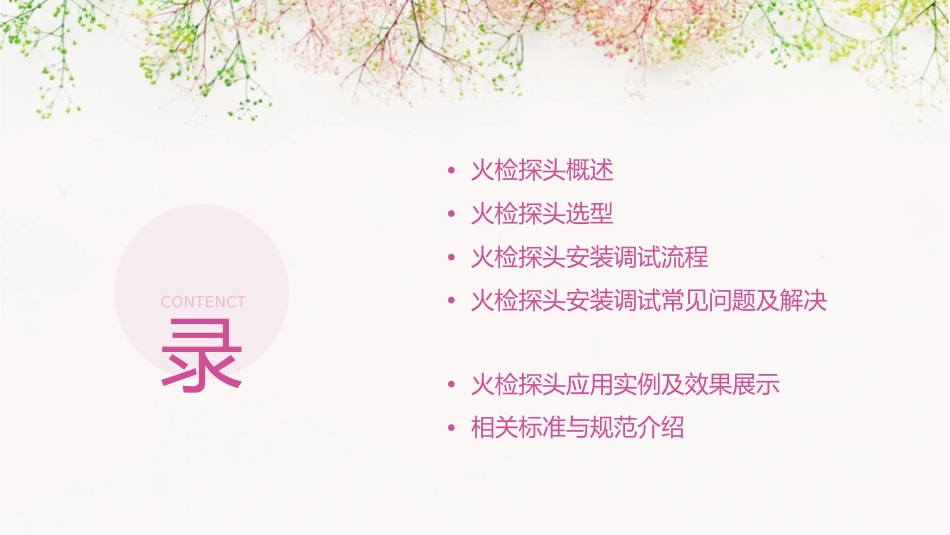 火检探头的选型与安装调试课件_第2页