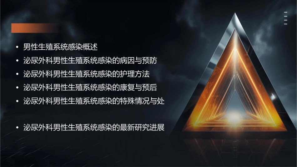 泌尿外科男性生殖系统感染护理课件_第2页