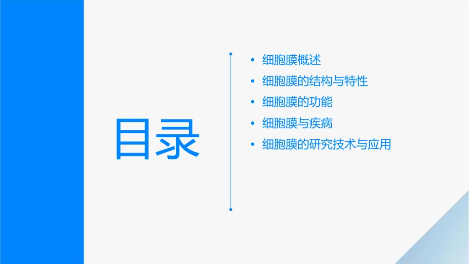 细胞膜市级公开课课件_第2页