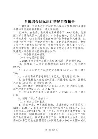 乡镇综合目标运行情况自查报告