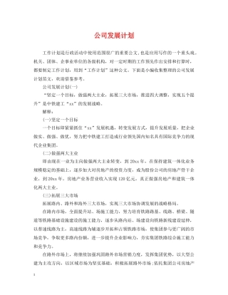 公司发展计划 
