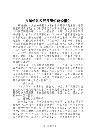 乡镇经济发展及组织建设报告