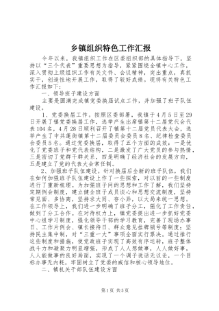 乡镇组织特色工作汇报