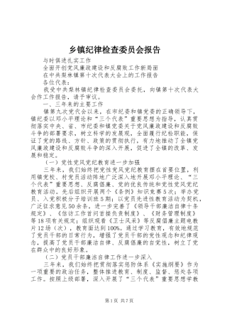乡镇纪律检查委员会报告