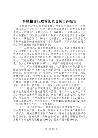 乡镇粮食行政首长负责制自评报告